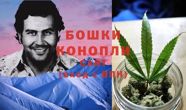ALPHA PVP Алексин