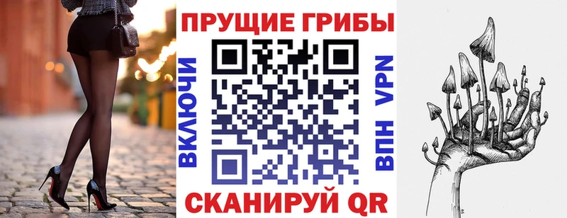 блэк спрут маркетплейс  Могоча  Галлюциногенные грибы мицелий 